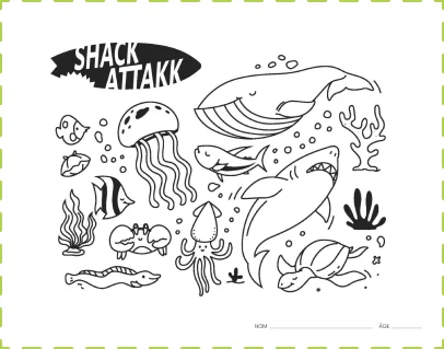shack attack drawing