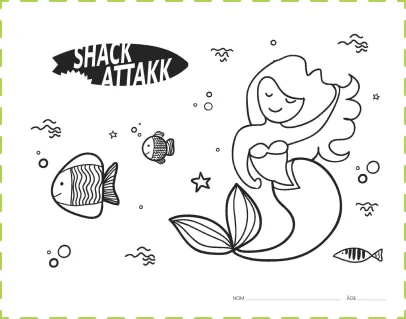shack attack drawing