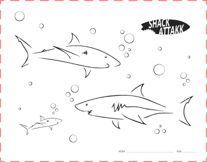 shack attack drawing