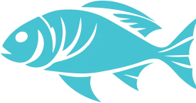 Fish image