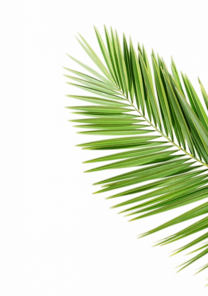 Leaf image